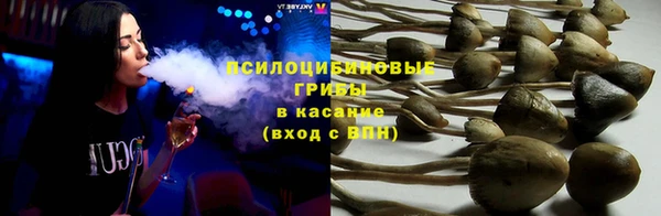 дмт Сатка