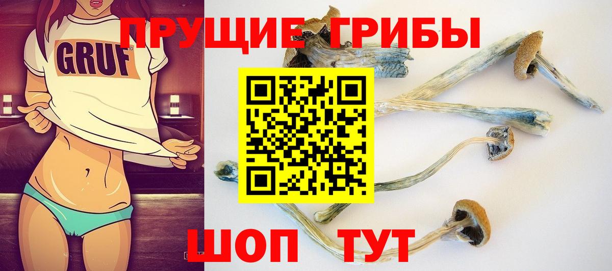 Галлюциногенные грибы Cubensis Корсаков