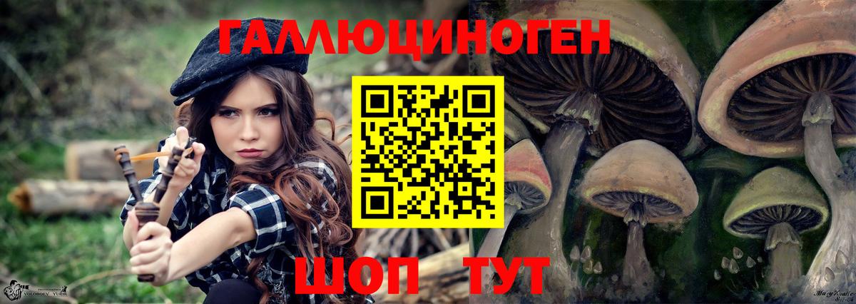 Корсаков  Псилоцибиновые грибы Psilocybe  как найти   Вход с VPN 